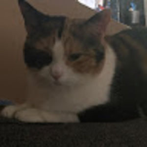 Meet your Posher, Myah